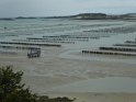 2019-09-26 12-03-05 Bouchots dans la Baie de l'Arguenon MBo